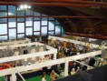 /album/galleria-foto/dsc09307-jpg/